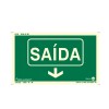 Placa Saída de Emergência Seta Para Baixo Fotoluminescente Paf332 - Encartale 